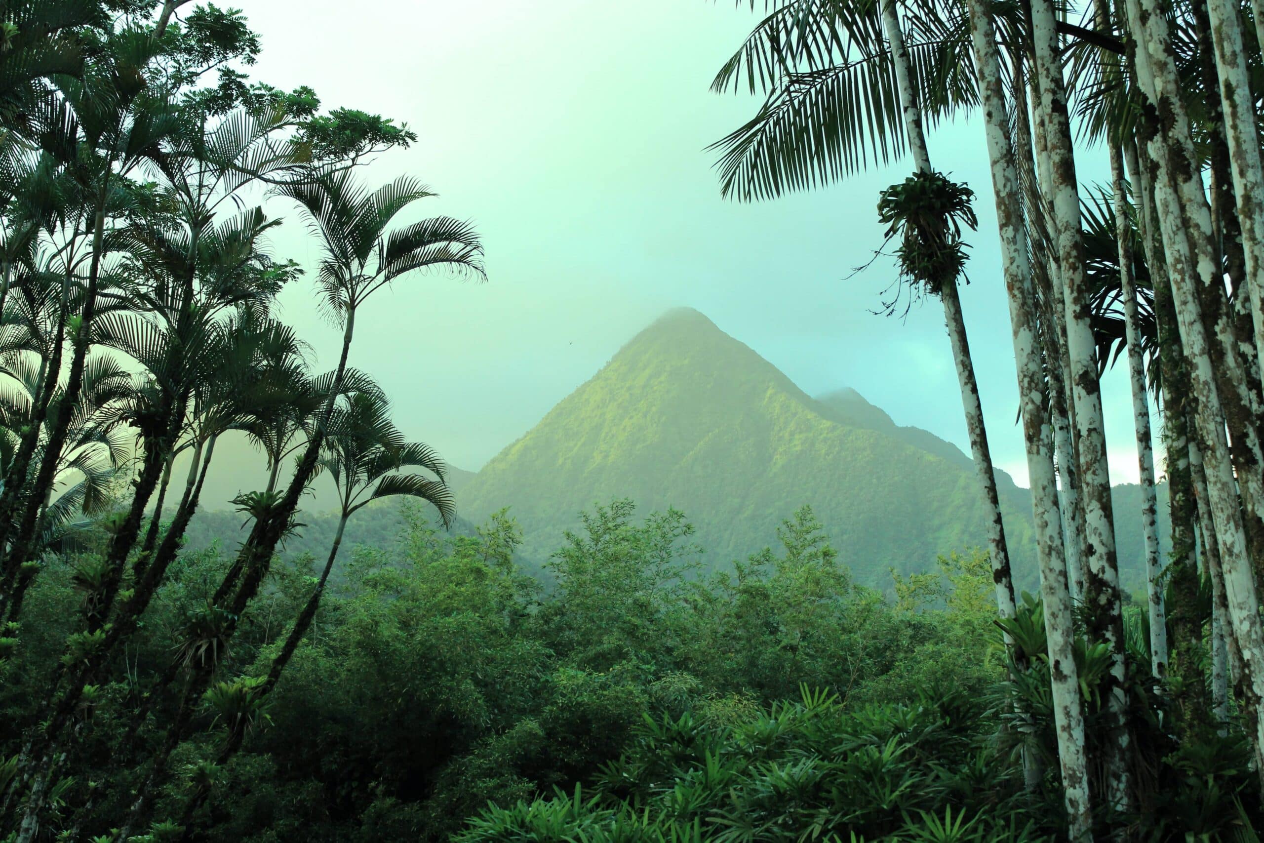 vivre en Martinique